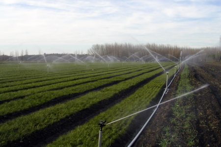 riego_aspersion_aluminio-4212